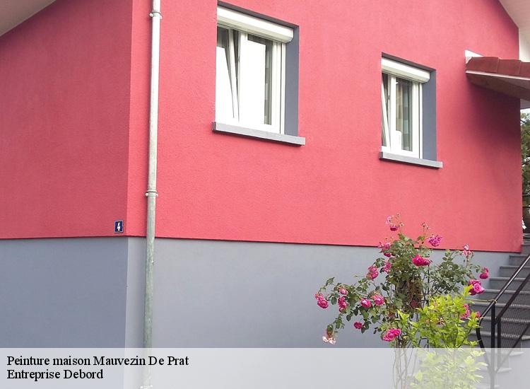 Peinture maison  mauvezin-de-prat-09160 Entreprise Debord