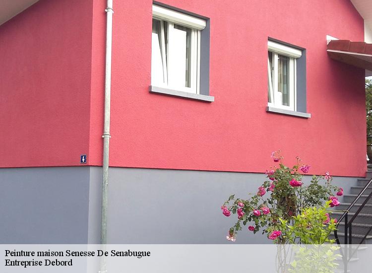 Peinture maison senesse-de-senabugue-09600 Entreprise Debord