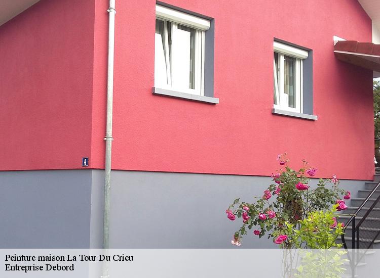 Peinture maison la-tour-du-crieu-09100 Entreprise Debord