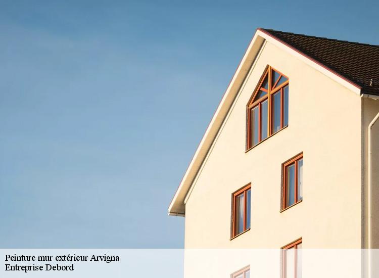 Peinture mur extérieur arvigna-09100 Entreprise Debord