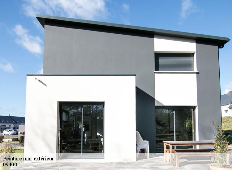 Peinture mur extérieur 09400
